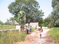 Semi Marathon de Casamance: Coureurs en action